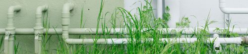 coyote-plumbing-fixing-sewer-pipes-Sydney